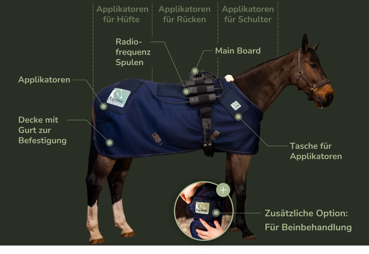 Equine Balance Radiofrequenztherapie Ein Pferd mit der Radiofrequenztherapie Ganzkörpersystem von Equine Balance