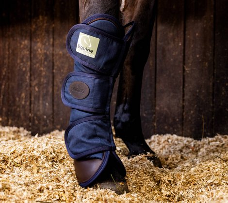 Ein Pferd wird mit der Equine Balance Gamasche therapiert