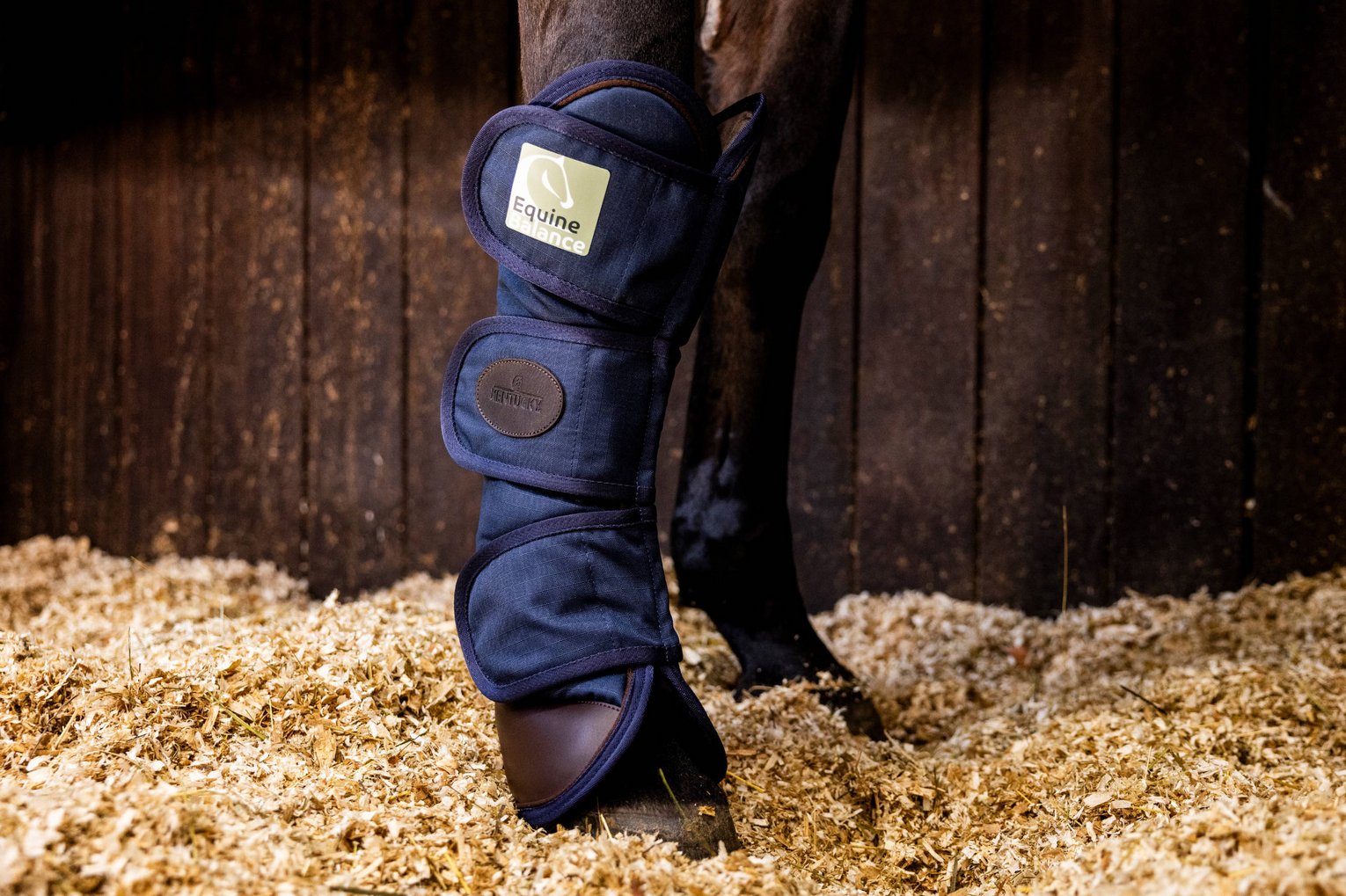 Equine Balance Gamasche Ein Pferd wird mit der Equine Balance Gamasche therapiert