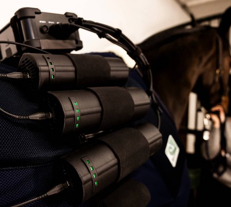 Ein Pferd mit Equine Balance Radiofrequenz-Therapiegerät im Stall