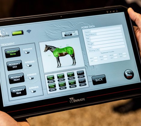 Ein Tablet mit geöffneter Equine Balance Software