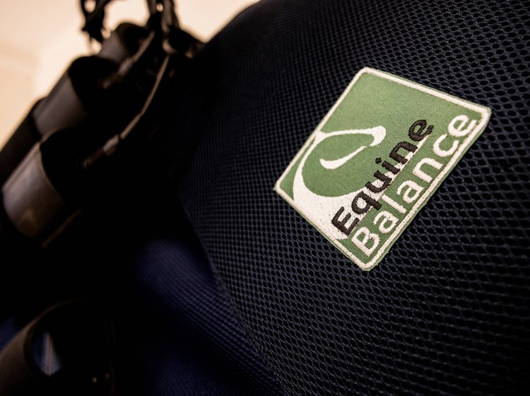 Nahaufnahme des Equine Balance Ganzkörpersystems