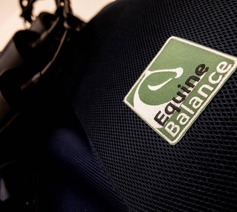 Nahaufnahme des Equine Balance Ganzkörpersystems