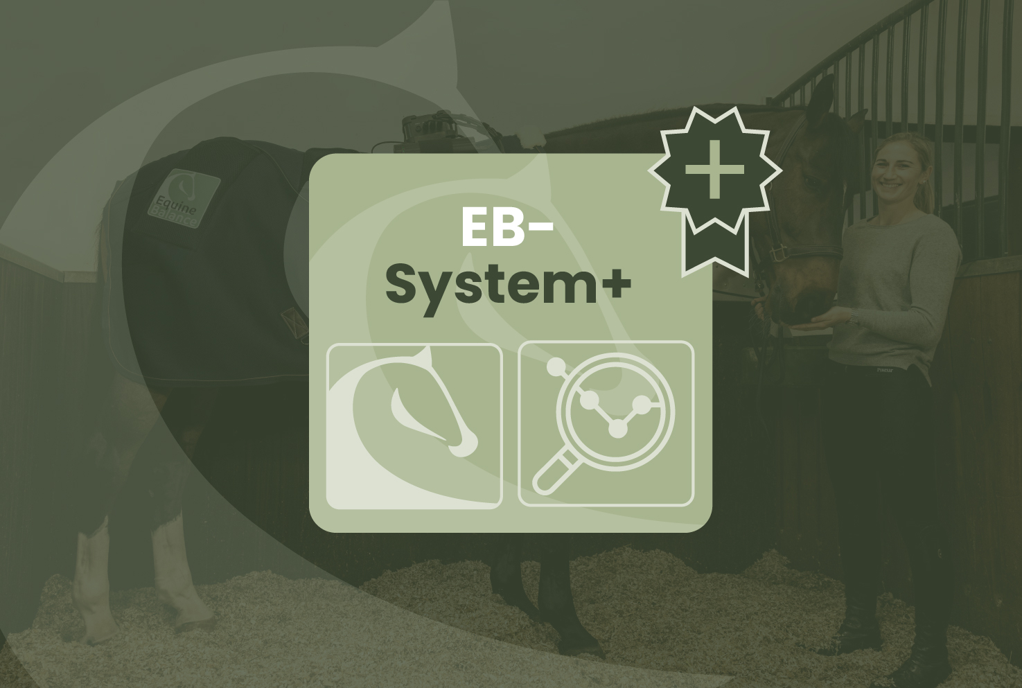 EB-System Equine Balance EB-System