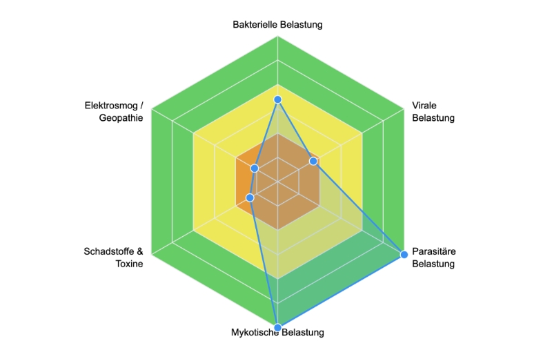 nica Software nica Software Diagramm zur energetischen Belastung des Pferdes