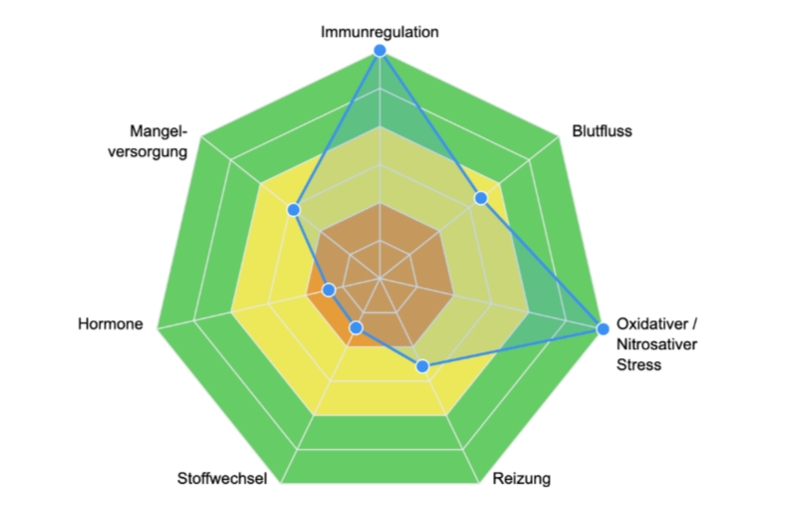 nica Software nica Software Diagramm zur energetischen Belastung des Pferdes